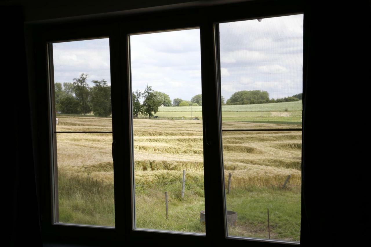 De Lucarne Villa Zottegem Eksteriør bilde